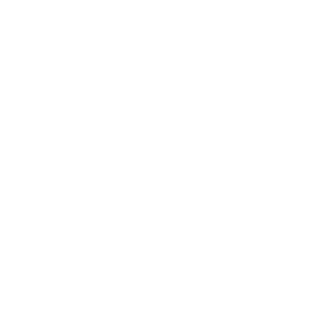 XTHEWEB Logo