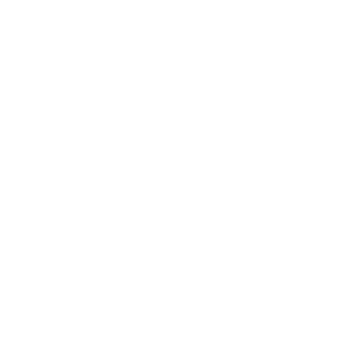 X the Web logo